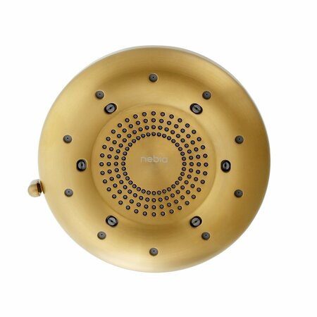 BRONDELL Nebia Corre Four-Function Fixed Shower Head, Brushed Gold N400R0BG